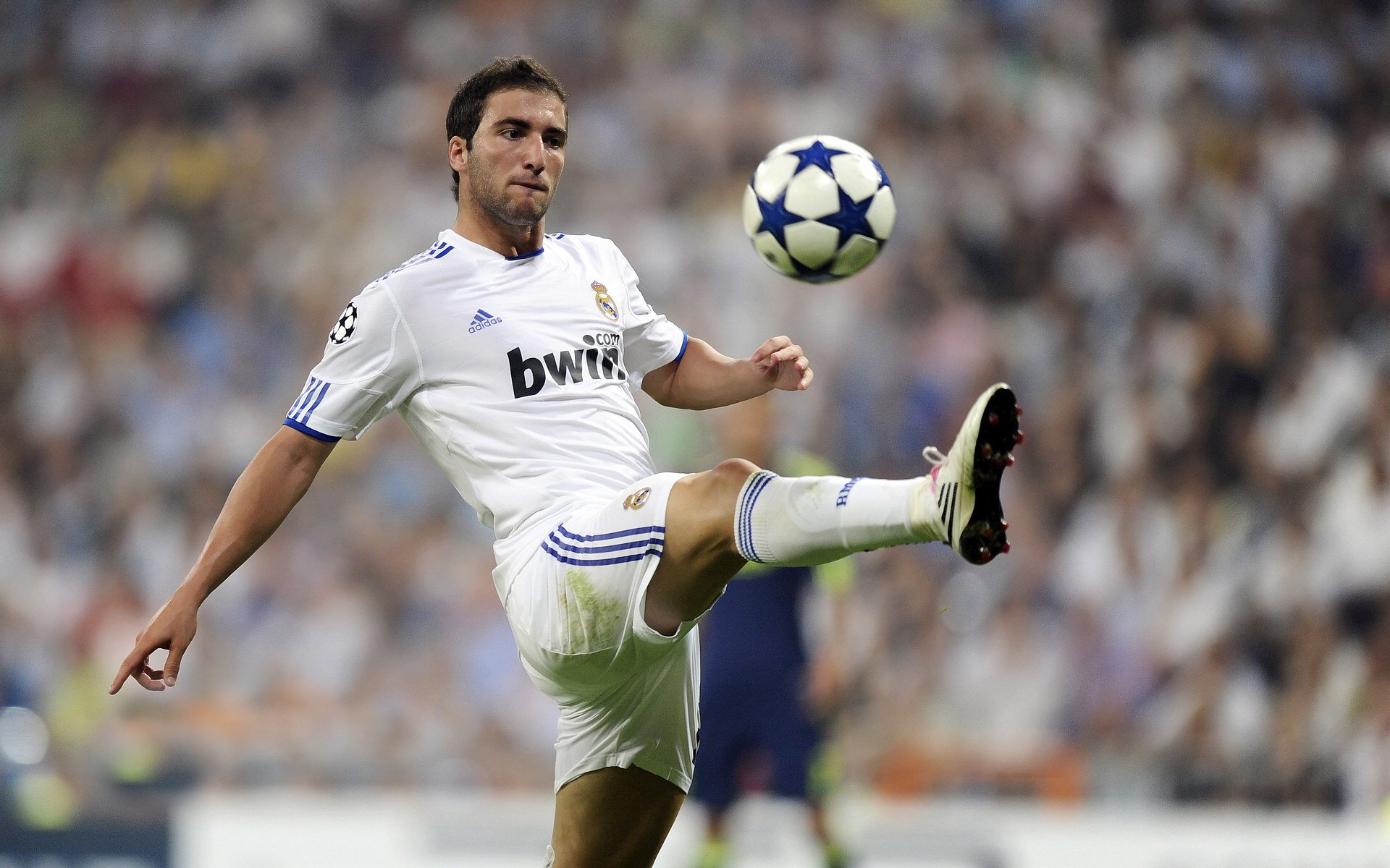 武磊复出首秀出彩，波尔图主场大胜明尼苏达森林狼，豪取2连胜